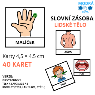 Základní slovní zásoba LIDSKÉ TĚLO (40 kartiček), kartičky 4,5 x 4,5 cm
